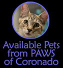 PAWS of Coronado available pets