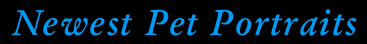 Newest Pet Portraits
