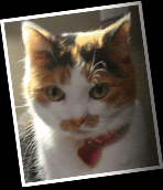 Photo of the real-life sweetie, Belle