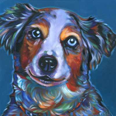 Pet portrait of Buddy, the Awesome Australian Shepherd from Phoenix