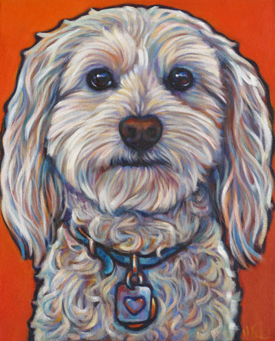 Duffy, pet portrait of handsome Oceanside cockapoo, San Diego, CA