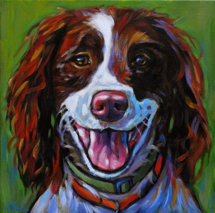 Ellie Springer Spaniel Pet Portrait