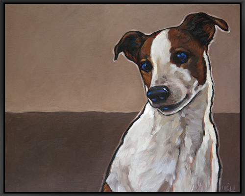 Pet portrait of Jack, beloved Jack Russell living in San Diego, CA