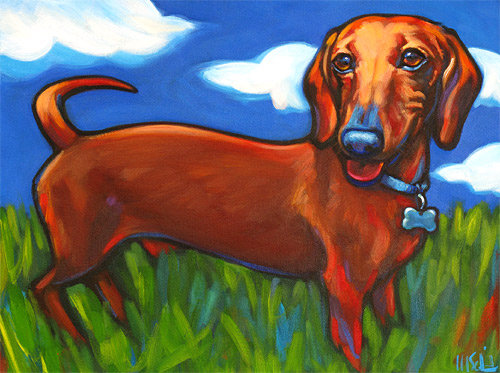 Pet portrait of Dachshund James, from Fresh Meadows, New York