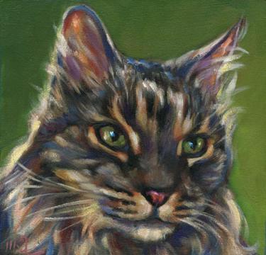 in memory of Jimmy, cat pet portrait of sweet boy from San Diego, CA