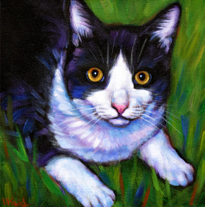 Portrait of Miracle, the miracle kitty living in Tallahassee, Florida