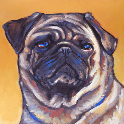 pet portrait of Misty, from San Diego, CA