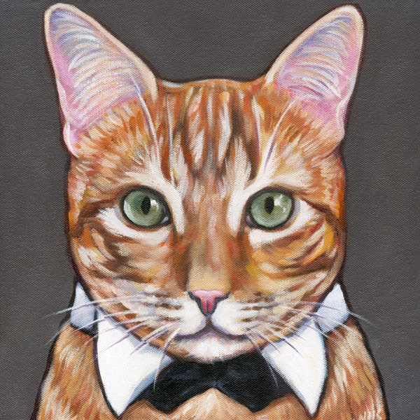 Porrait of Pampered Oli, Terrific Tabby living in Phoenix, AZ