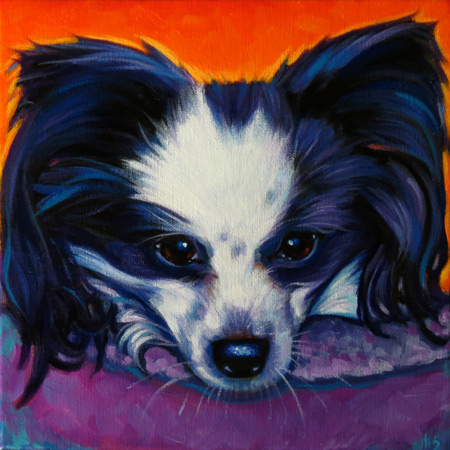 Pet Portrait of Ravi, from San Diego, CA