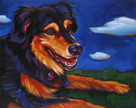 Pet Portrait of the fabulous San Diego Retriever mix, Zeke!