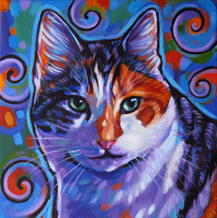 Catalina, New Zealand