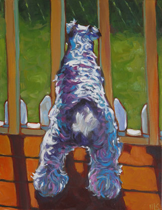 KOKO!!''s Lookout, the mini schnauzer from Knoxville, Tennessee