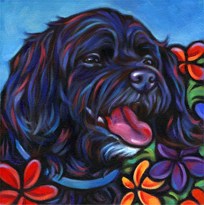 Puka pet portrait, July 2008