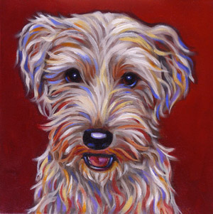 Schnockers (in memory), February 2008