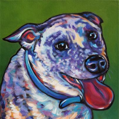 Pet portrait of Buddy