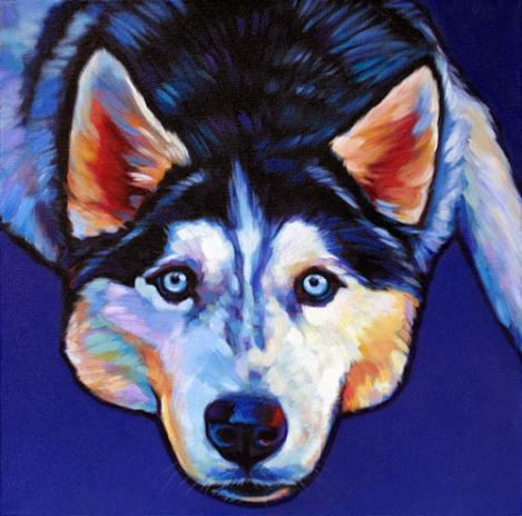 Pet portrait of Norris Siberian Husky