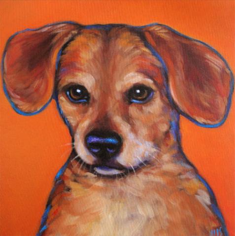 Memorial Pet Portrait of Snoozie, from Sacramento, CA